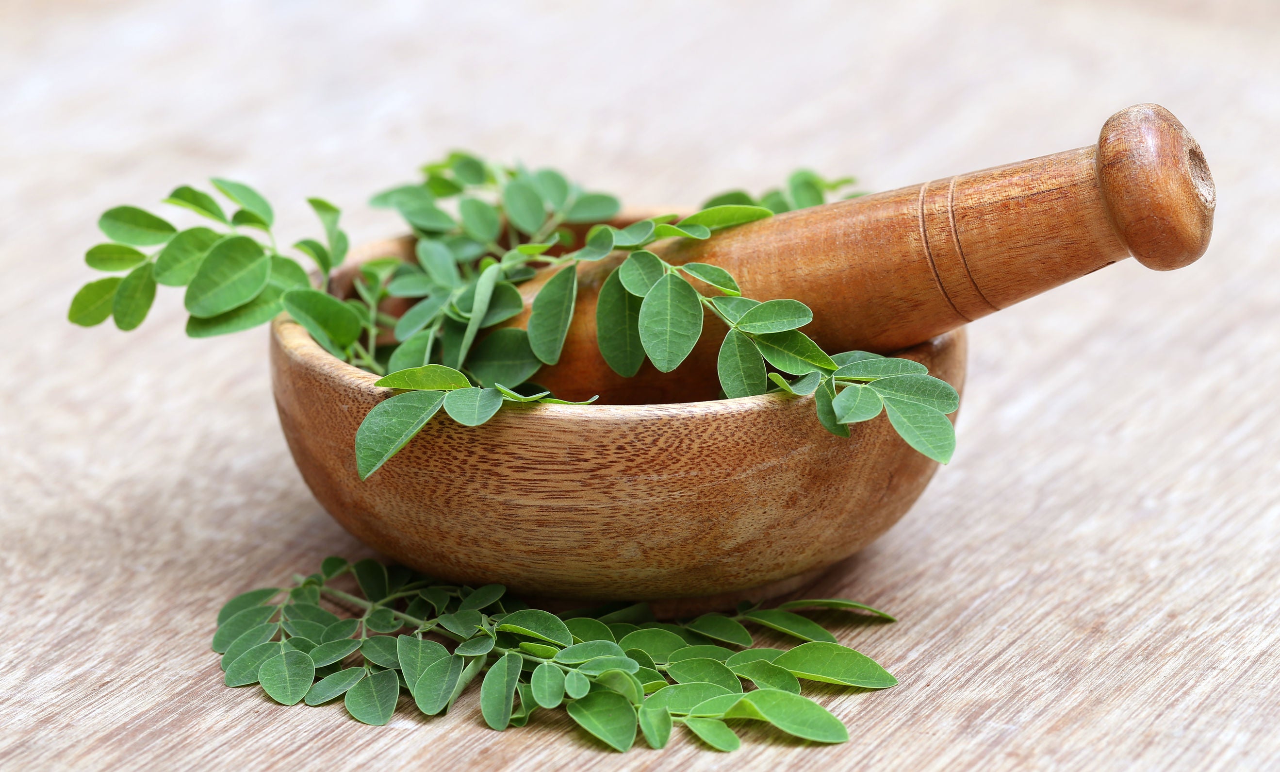 Moringa por – az idegrendszer szuperélelmiszere