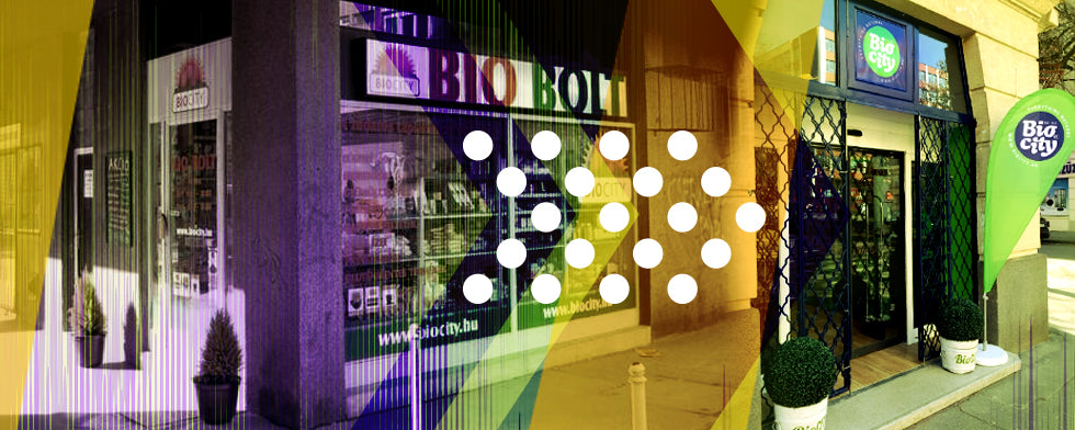 10 éve kezdődött minden: Kulisszatitkok a kezdetektől napjainkig