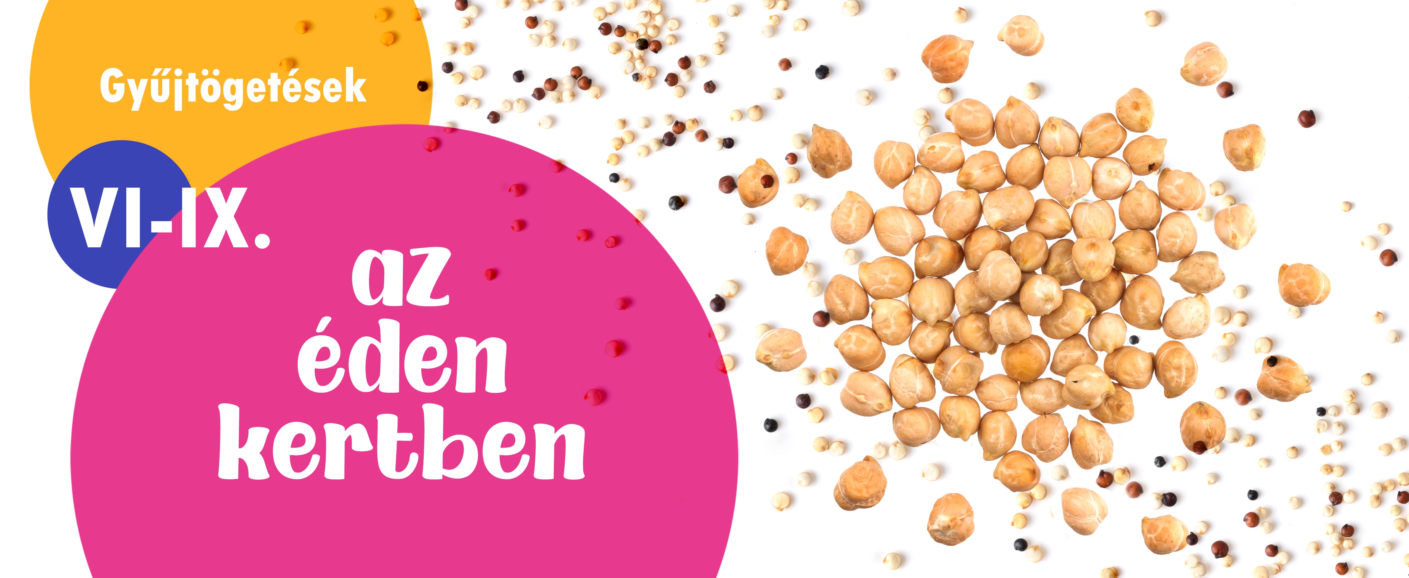 Gyűjtögetések az Édenkertben VI-IX.