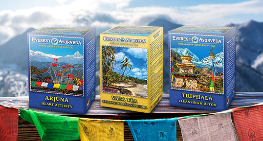 Everest Ayurveda