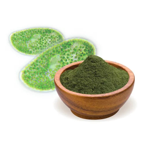 Bio Menü Bio Chlorella Por 125g