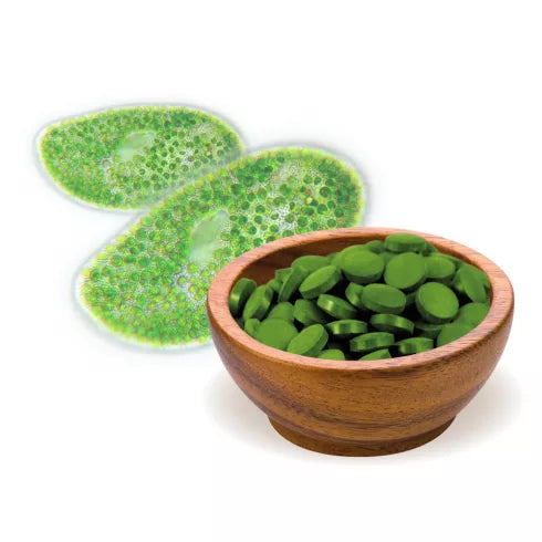 Bio Menü Bio Chlorella Tabletta 125g