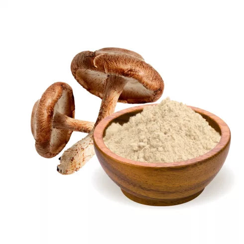 BioMenü BIO SHIITAKE gombapor 100 g