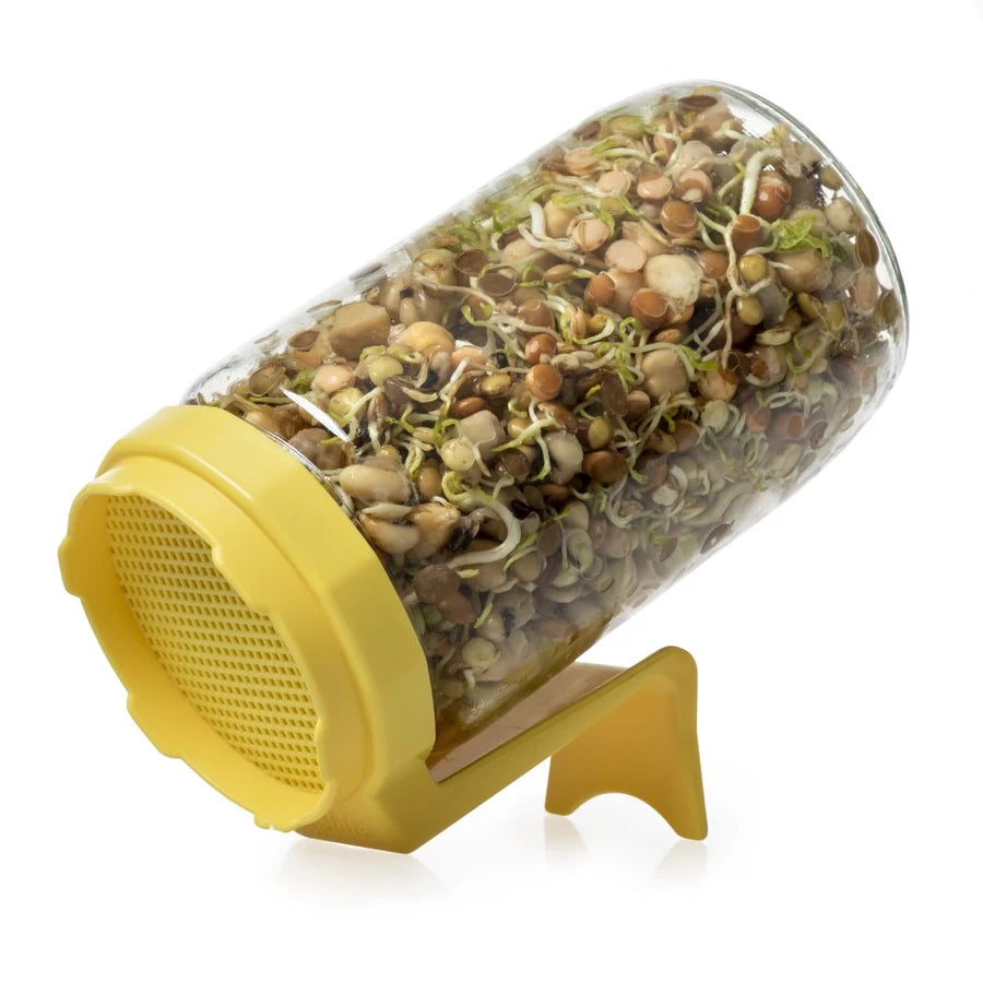 Natura Csíráztató üvegedény-sárga (1db)