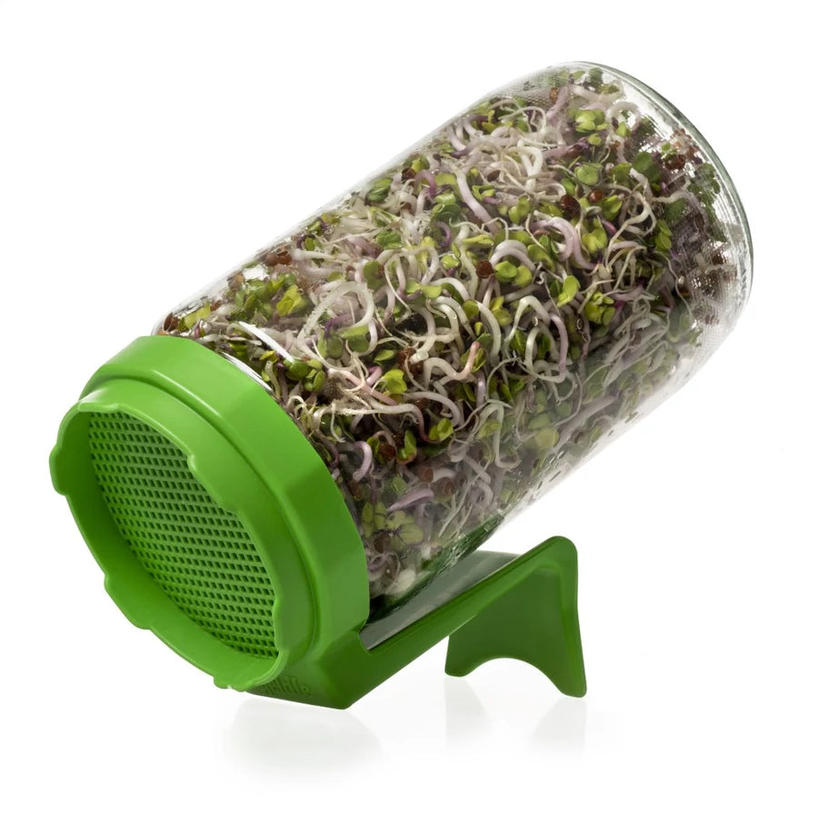 Natura Csíráztató üvegedény-zöld (1db)