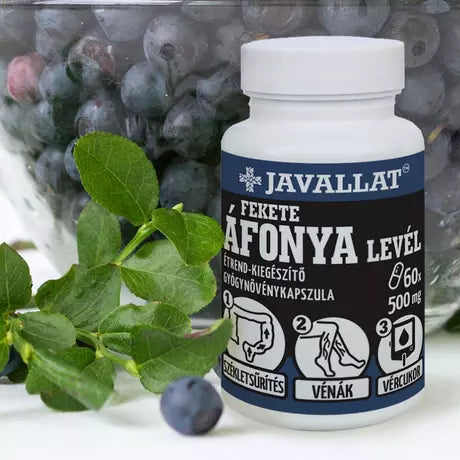 JAVALLAT FEKETE ÁFONYA LEVÉL KAPSZULA 60db