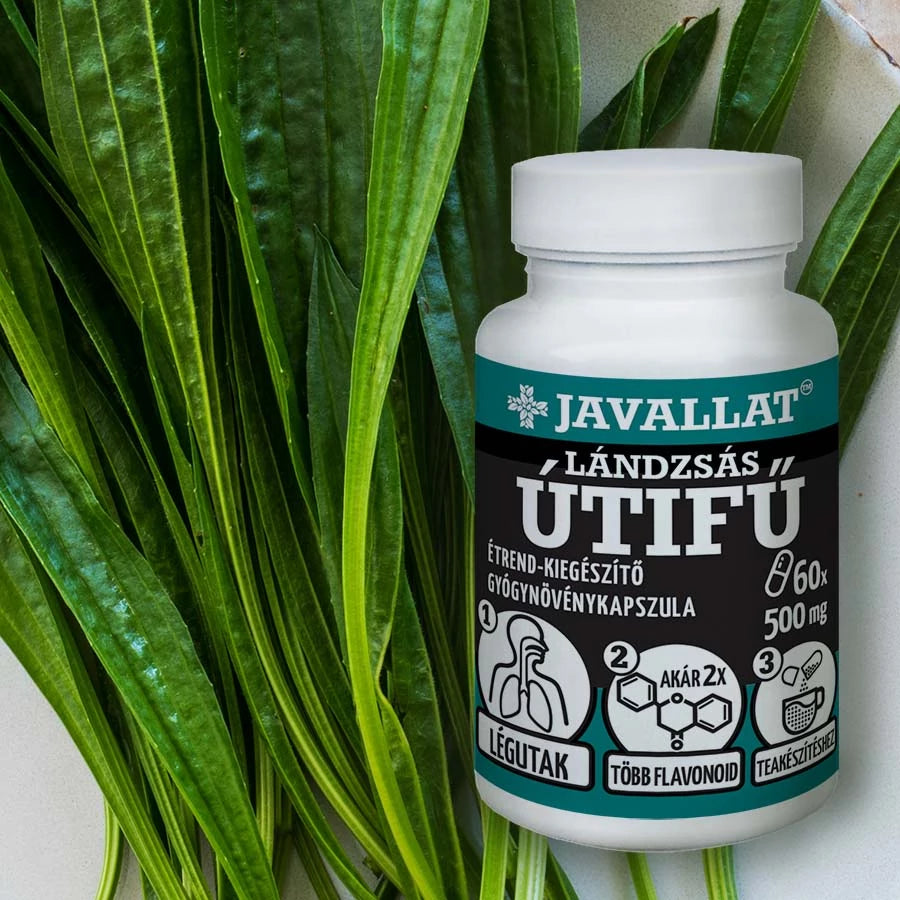 JAVALLAT LÁNDZSÁS ÚTIFŰ KAPSZULA 60 db