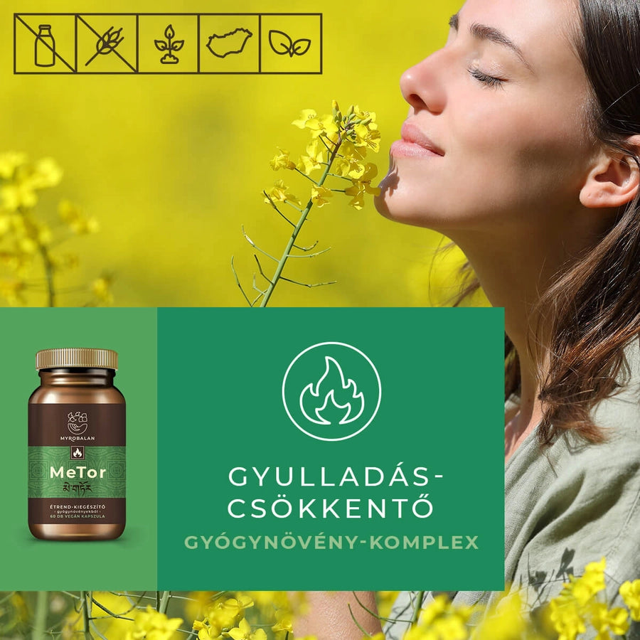 Myrobalan Metor kapszula ( 60db )