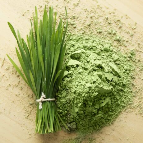 JAVALLAT ZÖLD BÚZAFŰ KAPSZULA 60db