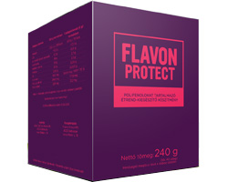 Flavon Protect 240 g