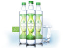Natur Tanya® Nordic Koivu® Bio Nyírfanedv® - 500ml