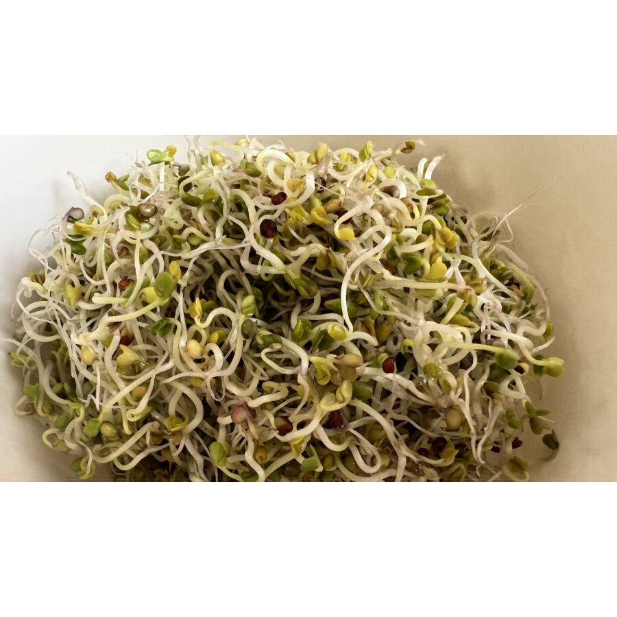 Natura Vajrépa csíráztatásra 200 g