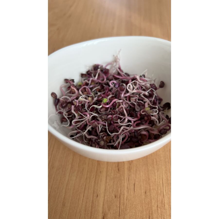 Natura Retekmag fekete csíráztatásra 200 g