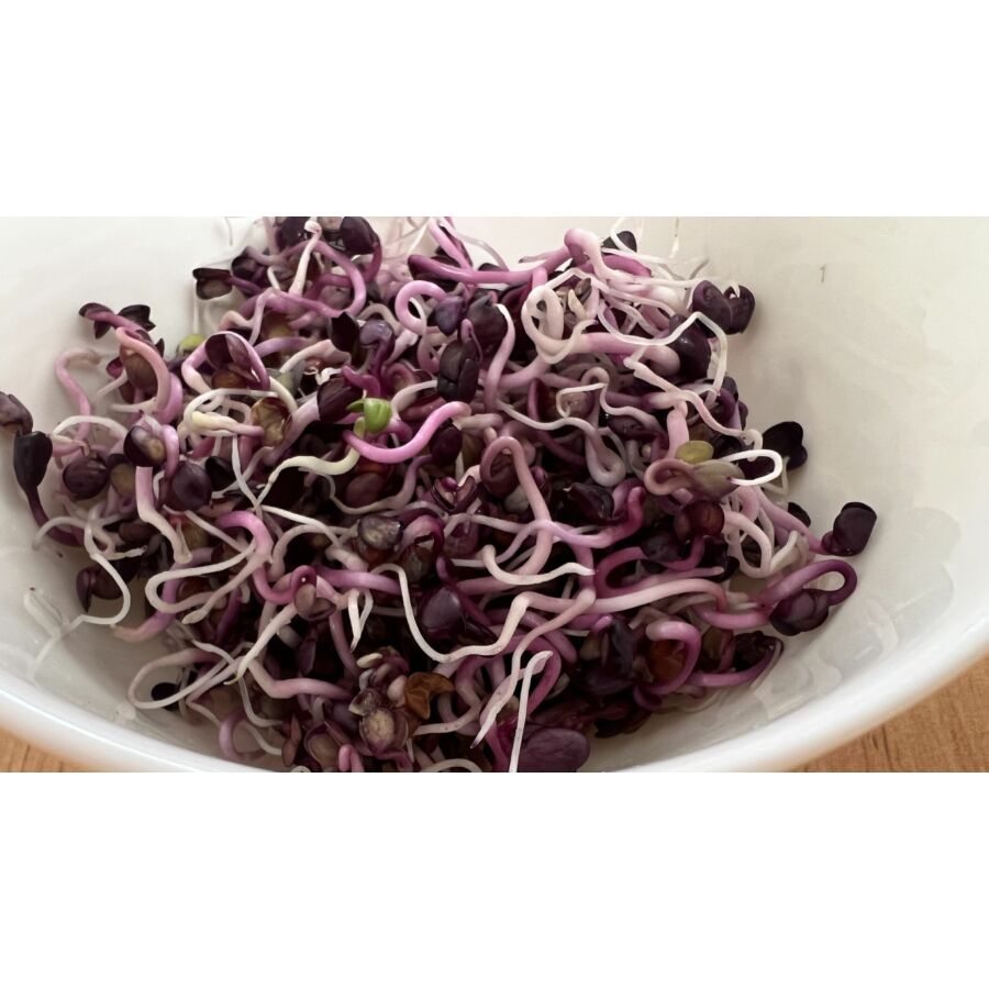 Natura Retekmag fekete csíráztatásra 200 g