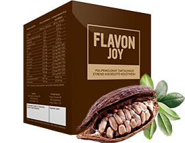 Flavon Joy 240 G