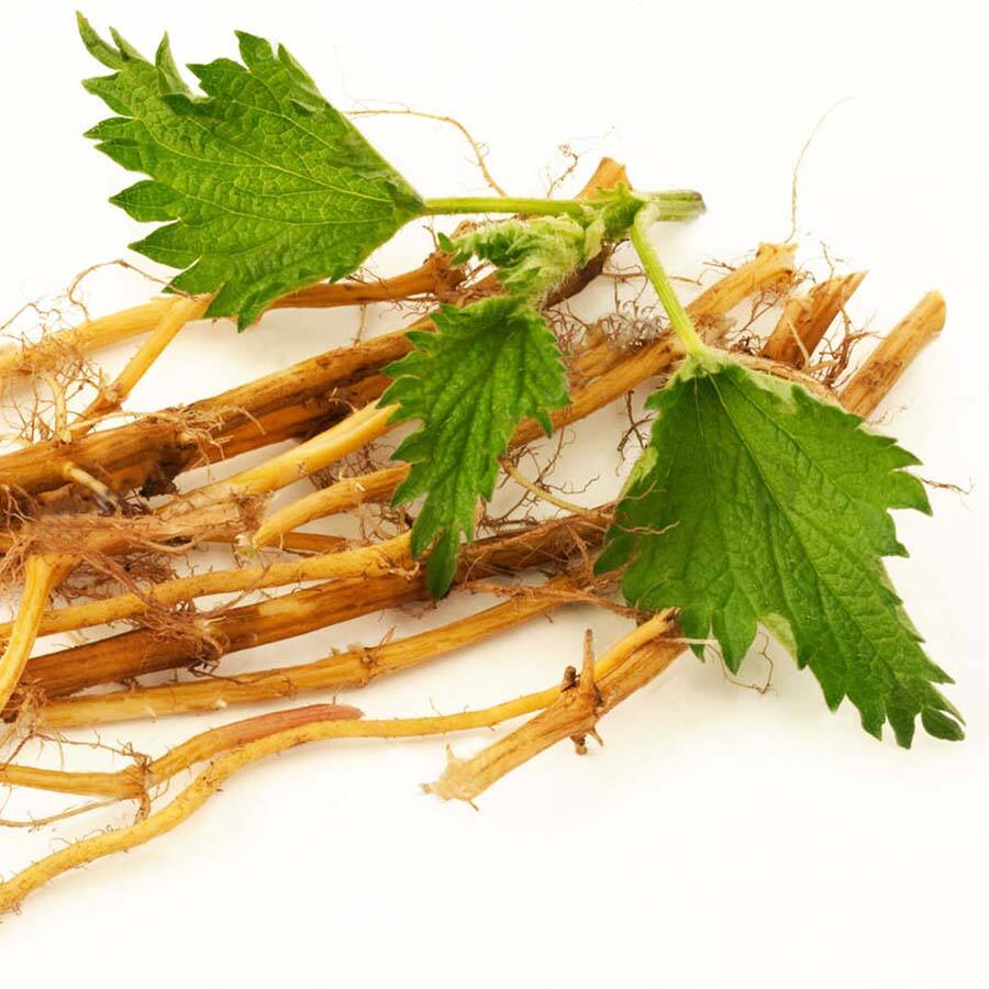 JAVALLAT CSALÁN GYÖKÉR KAPSZULA 60db