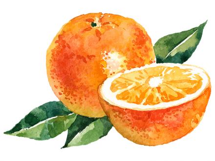 SZERVES C 500 – Kétféle C-vitamin citrus bioflavonoidokkal gyomorkímélő rágótablettában, finom narancs ízzel 100 db