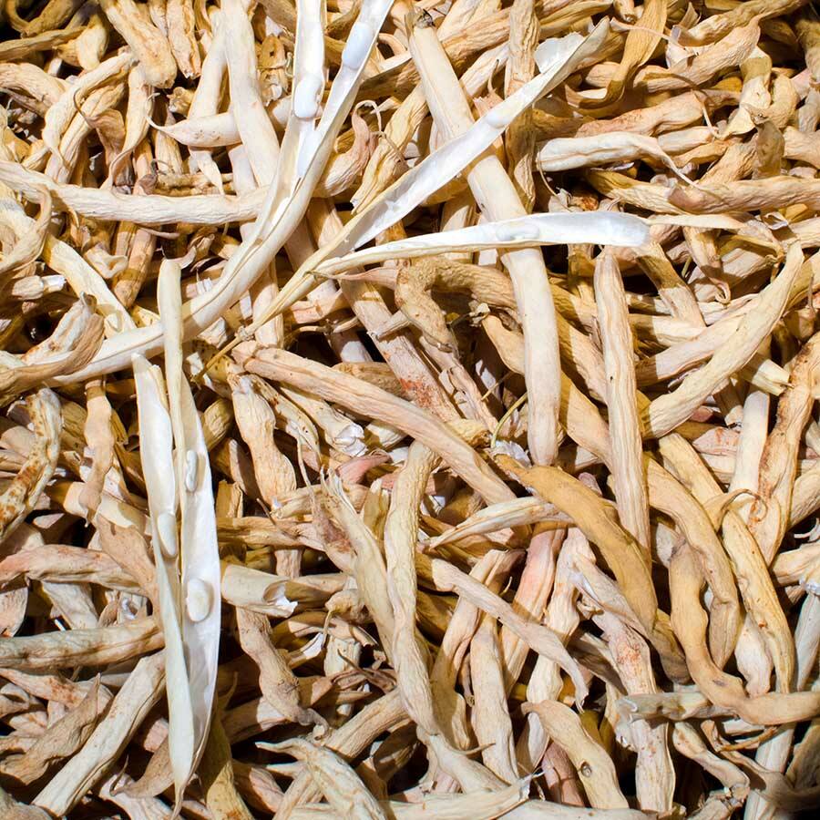 JAVALLAT FEHÉR BABHÉJ KAPSZULA 60db