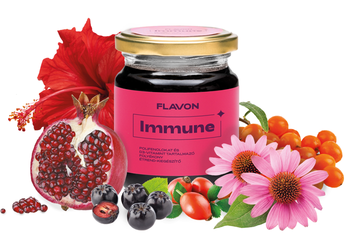 FLAVON IMMUNE 240g