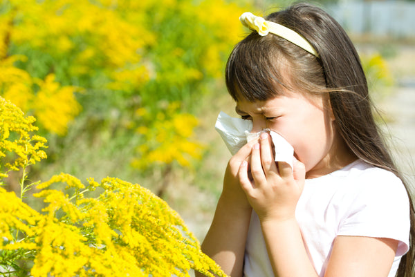 Ez a 7 tanács segíthet átvészelni a nyári allergiaszezont