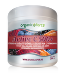 ORGANIC FORCE ACTIVE C 500+ GYÜMÖLCS-ZÖLDSÉG POR ( 200g )
