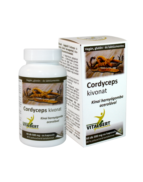 Vitalbert Kínai hernyógomba-Cordyceps sinensis gyógygomba kivonat kapszula 60 db, 500 mg (1 havi adag)