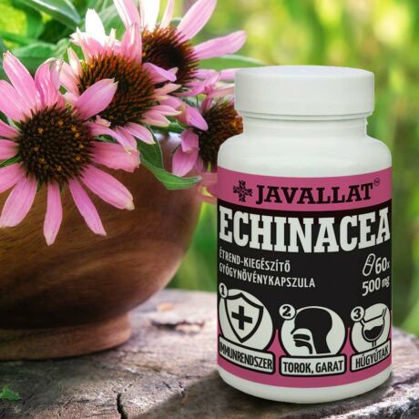 JAVALLAT ECHINACEA KAPSZULA  60db