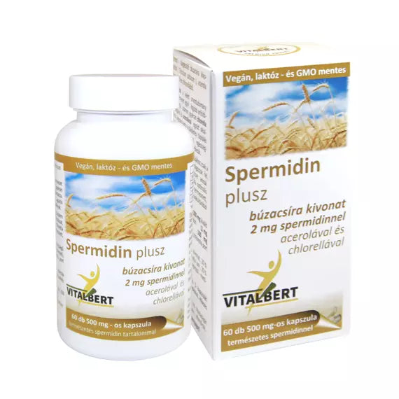 Vitalbert Spermidin Plusz búzacsíra kivonat kapszula ( 60db )