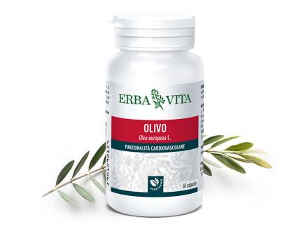 Natur Tanya® E. Mikronizált Olajfalevél kapszula - 3 szabadalommal védett! Immunrendszer, allergia, asztma, vérnyomás. 60db
