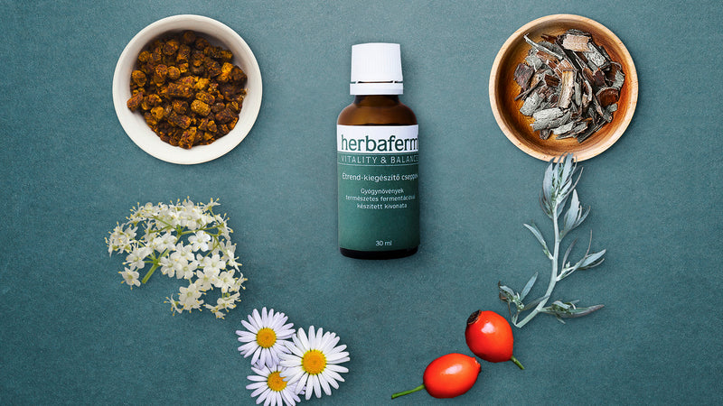 Herbaferm Csepp  30ml