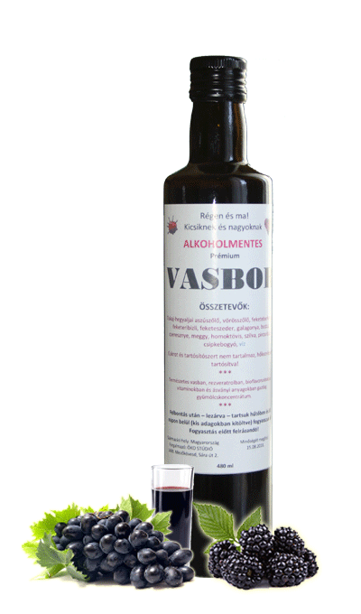 Vasbor 480 ml